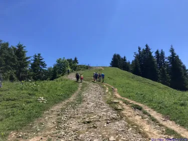KAC Gaissau Kräuterwanderung 2019 06 29 11 48 37  4679